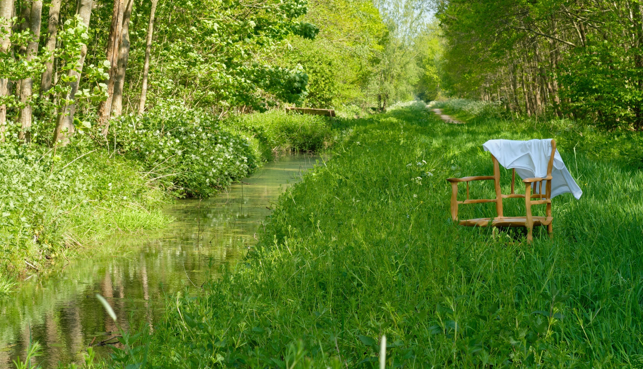 Zeg ja tegen Noshirt