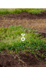 Load image into Gallery viewer, Plant a tree
